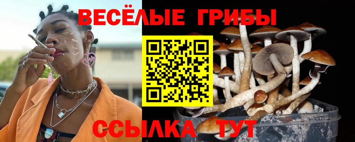 Урай  Галлюциногенные грибы Magic Shrooms  где купить наркотик  Вход с VPN 